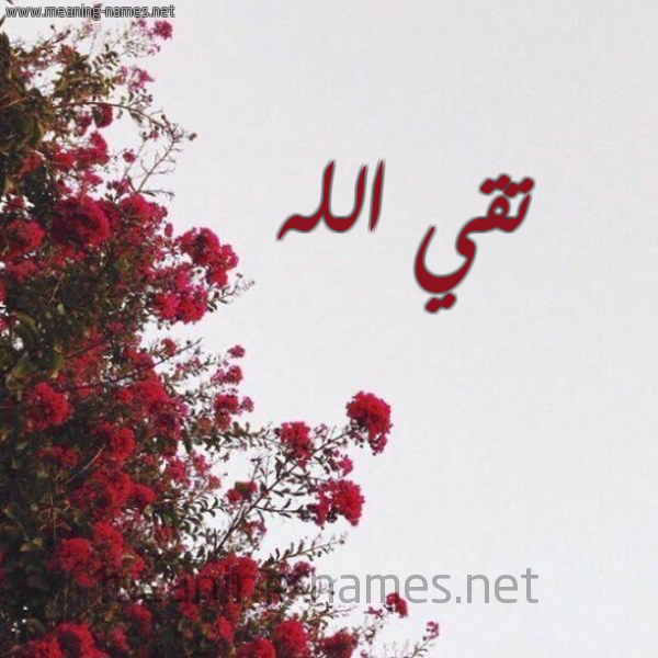 شكل 18 صوره الورد الأحمر للإسم بخط رقعة صورة اسم تقي الله TAKYELLAH